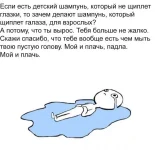 12379760.webp