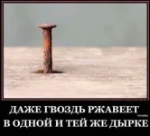12389729.webp