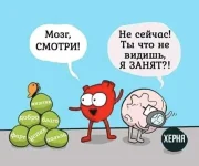 FB_IMG_1546165907982.webp