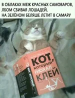 FB_IMG_1546847773791.webp