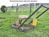 FB_IMG_1508306934992.webp