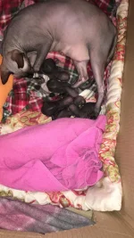 IMG-20190113-WA0003.webp