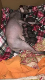 IMG-20190114-WA0001.webp