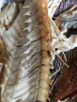 IMG-20190117-WA0020-2.webp