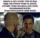 FB_IMG_1549007682619.webp