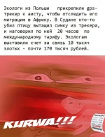 FB_IMG_1549365826317.webp