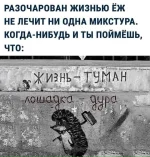 FB_IMG_1549599578117.webp