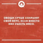 FB_IMG_1551449213206.webp