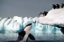 12846681.webp
