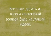 FB_IMG_1553251558605.webp