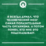 FB_IMG_1554057075217.webp