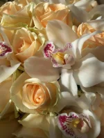 IMG-20190404-WA0002.webp