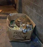 FB_IMG_1555874863733.webp