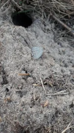 IMG-20190422-WA0002.webp