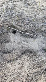 IMG-20190422-WA0003.webp