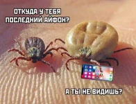 FB_IMG_1556783060910.webp