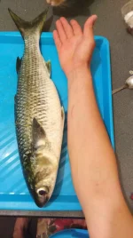 IMG-20190531-WA0001.webp