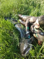 IMG-20190607-WA0040.webp