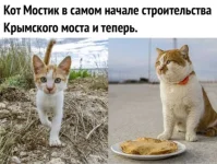 13125210.webp