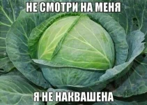 13128789.webp