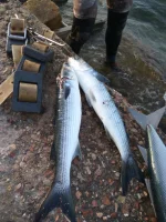 IMG-20190617-WA0002.webp