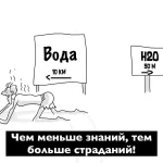FB_IMG_1560977248129.webp