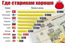 13179569.webp