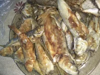 IMG-20190625-WA0003.webp