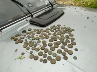IMG-20190627-WA0014.webp