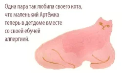 13209247.webp