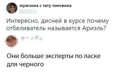 13222966.webp