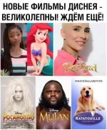 13222970.webp