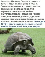 13243051.webp