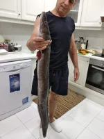 IMG-20190702-WA0016.webp