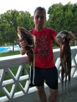 IMG-20190702-WA0021.webp