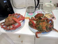 IMG-20190702-WA0039.webp