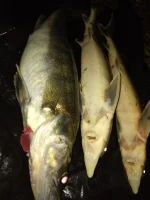 IMG-20190929-WA0015.webp