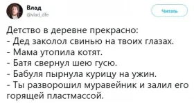 13515650.webp