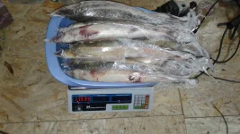 IMG_20191014_164301_285.webp