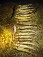 IMG-20191020-WA0000.webp