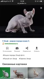 IMG-20191020-WA0004.webp