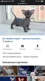 IMG-20191020-WA0003.webp