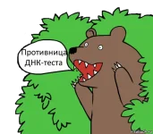 13634225.webp
