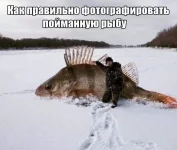 13654541.webp