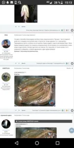 Screenshot_20191122-151322.webp
