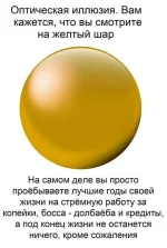 FB_IMG_1574604331417.webp