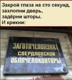13803118.webp