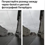 FB_IMG_1578895652225.webp