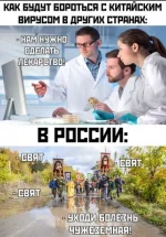 13905925.webp