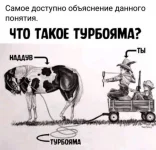 13955939.webp